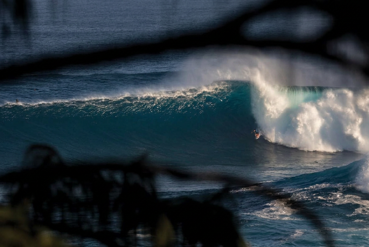A large ocean wave breaking, framed by soft dark foliage